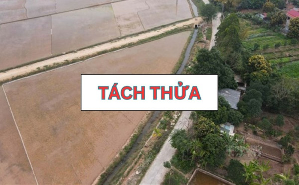 Diện tích tách thửa tối thiểu theo Luật Đất đai 2024 và các QĐ ở các tỉnh thành