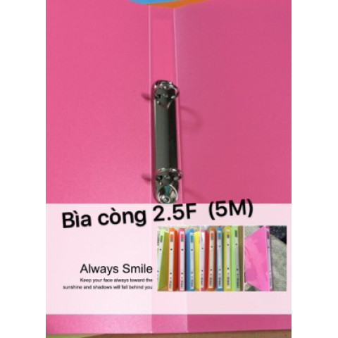 Bìa còng nhẫn 2.5cm nhựa A4