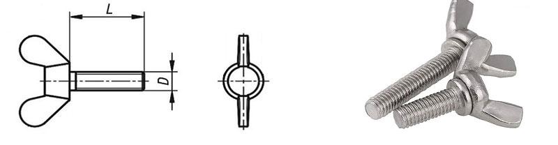 Bulong Cánh Chuồn Inox 304 DIN 316 | vattumientay.com